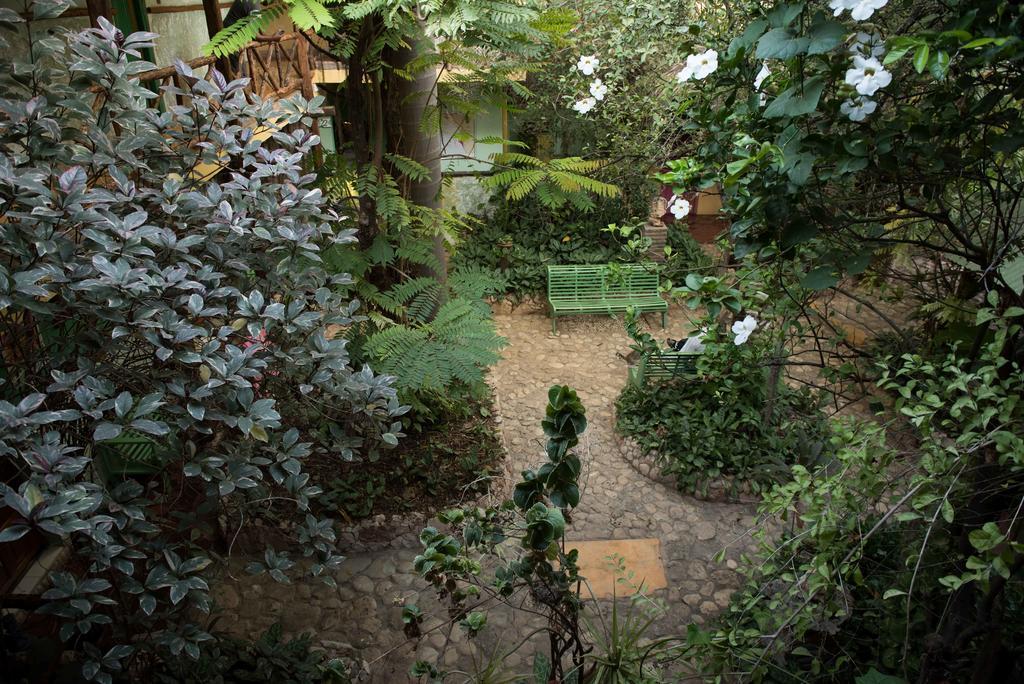 Hostal Dona Chava Pedernales Zewnętrze zdjęcie